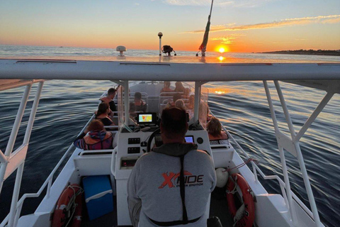 Albufeira: Benagil Cave Sunset Cruise