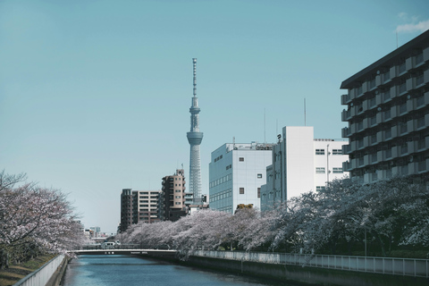 Tokyo : Visite privée personnalisable de la ville avec chauffeurVoiture standard 5 pax !!!