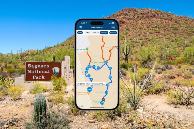 Visit Saguaro National Park Self Guided Driving Audio Tour in Tucson, Arizona