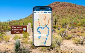 Saguaro National Park Self Guided Driving Audio Tour