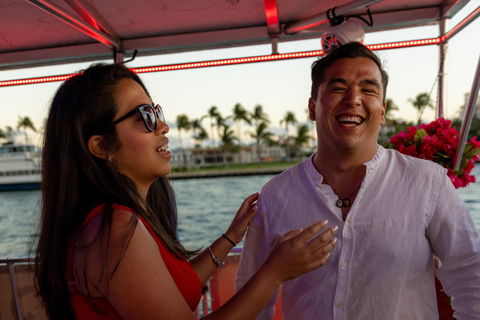 Miami: Millionaire's Row Cruise with Bay Swim Stop
