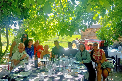 Half Day Douro Valley Tour with Cruise and Winery Lunch
