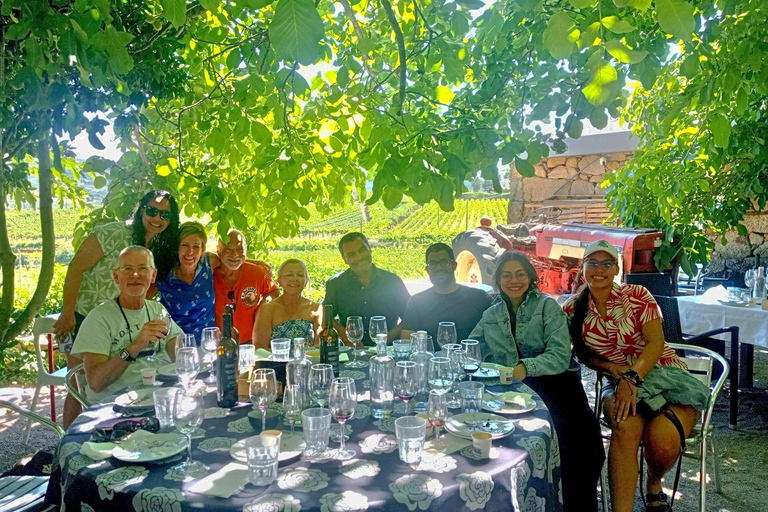 Half Day Douro Valley Tour with Cruise and Winery Lunch