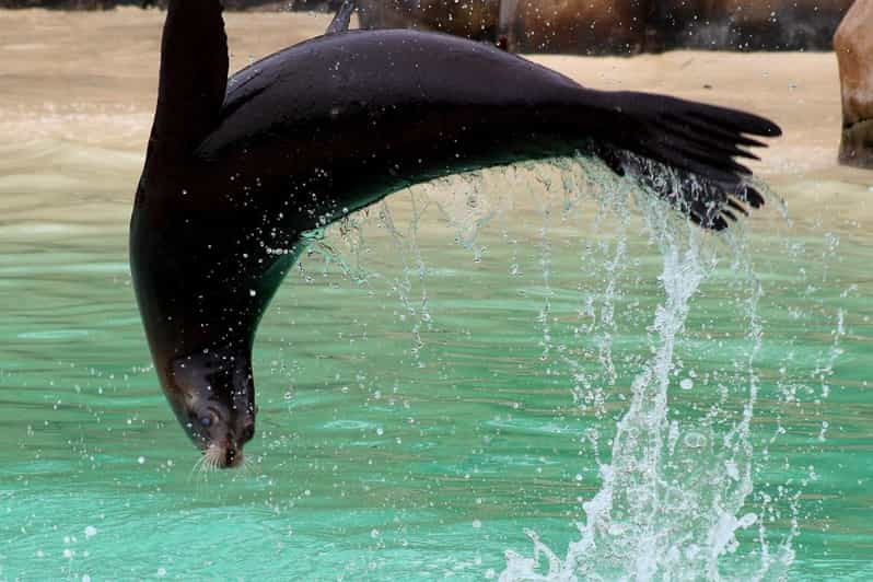 Blackpool: boleto de admisión del zoológico