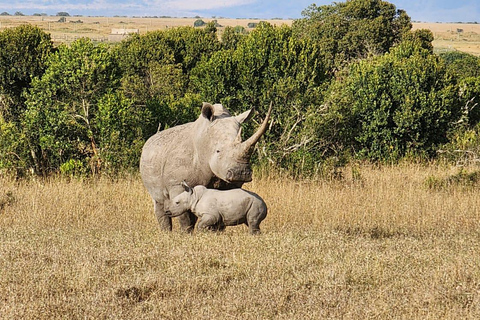 samburu and olpejeta national parks 4 days from nairobi.