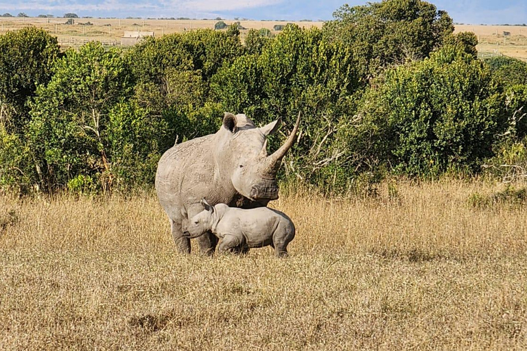 samburu and olpejeta national parks 4 days from nairobi.