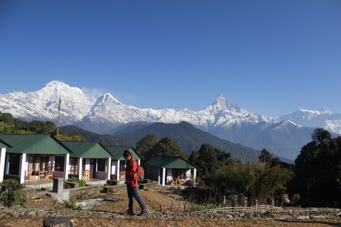 From Pokhara Group Departure: One Day Trek Australian Camp