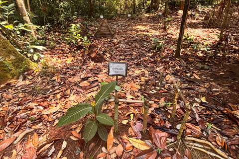 The Heart of the Amazon in One Day (The Most Complete Tour) Exclusivity