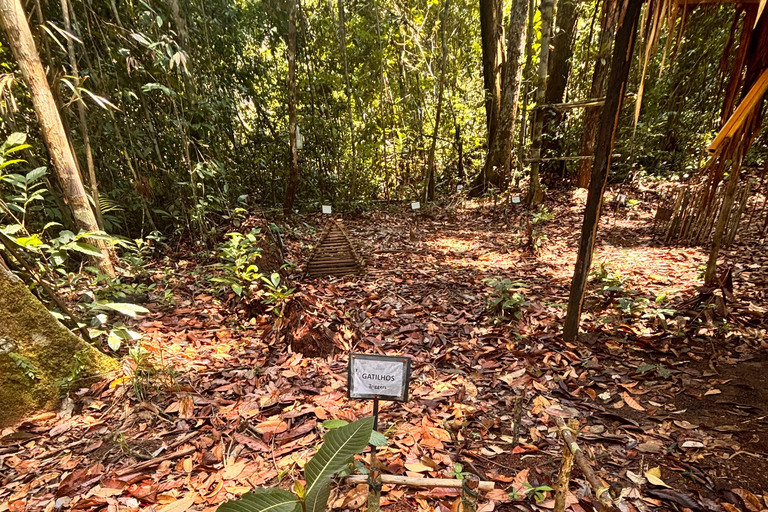 The Heart of the Amazon in One Day (The Most Complete Tour) Exclusivity