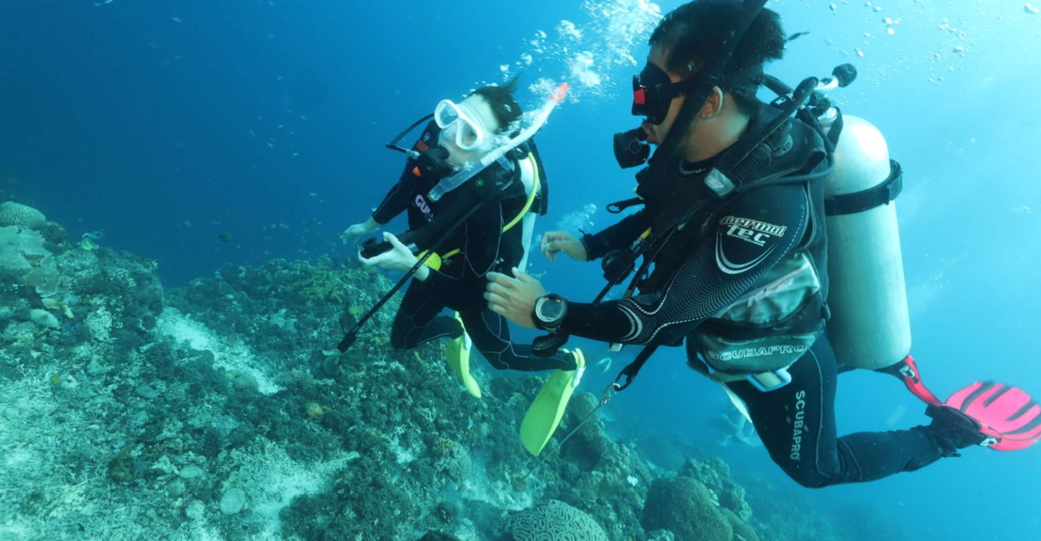 Cebu, experiencia de buceo en la isla Mactan - Hizvo