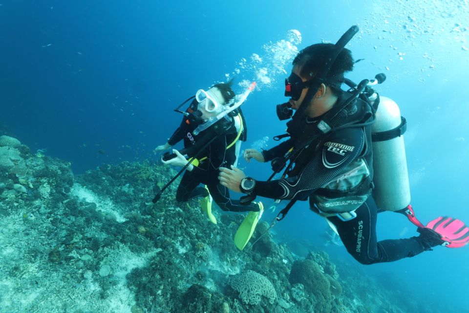 Cebu Mactan Island Scuba Diving