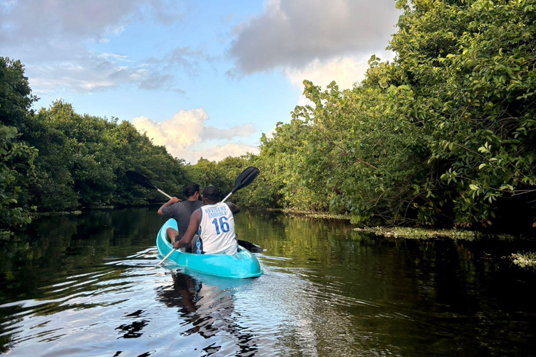 Mirissa: Kayaking & Bird watching Experience Sunrise or Sunset Bird watching Kayaking (Pickup included)