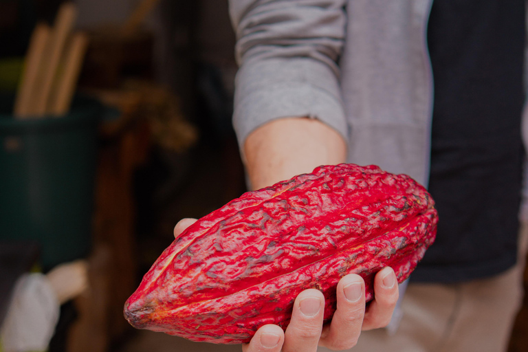 Bouchées et briques de Quito avec un chef local