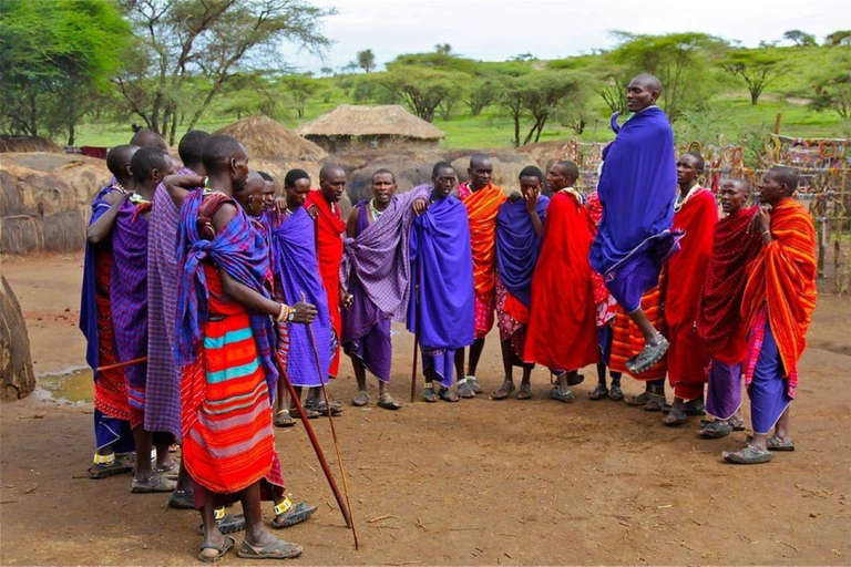 Nairobi: Dagtocht door Masai Cultureel Dorp vanuit Nairobi