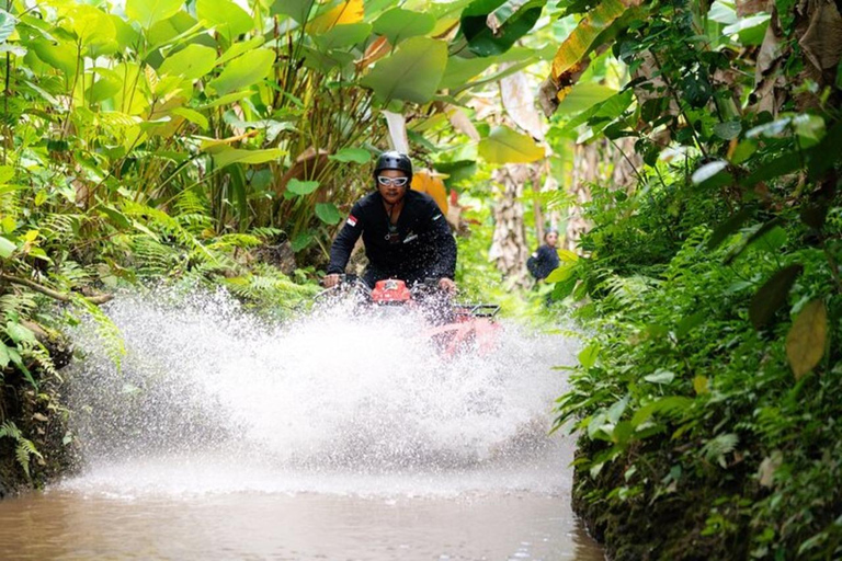 Ubud: Guided Quad Bike ATV Adventure with Waterfall & Tunnel Guided Single ATV - Long Track ( 7KM / 1,5 Hours )