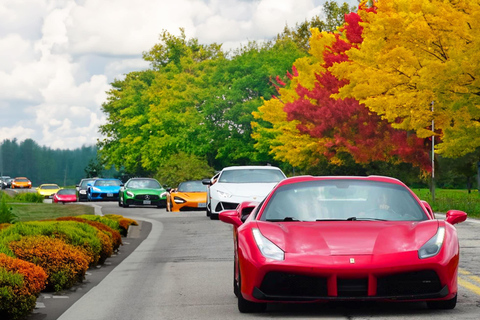 Hamilton Mountain: 3 Hour Exotic Car Tour with 5 Supercars