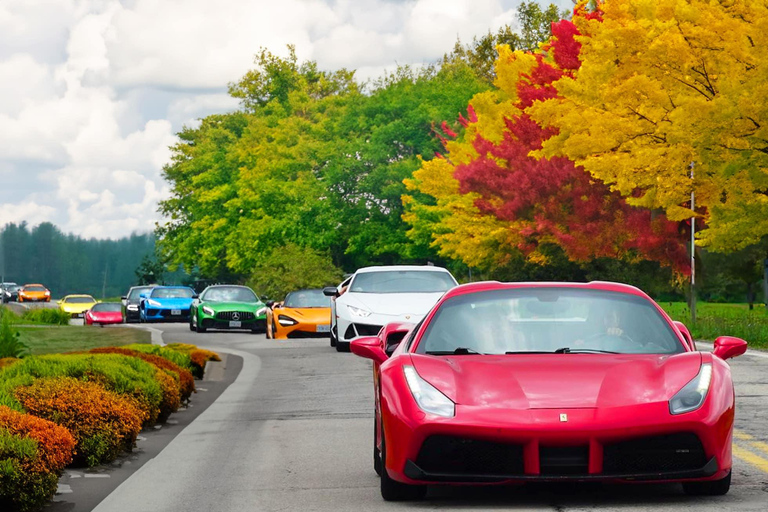 Hamilton Mountain: 3 Hour Exotic Car Tour with 5 Supercars