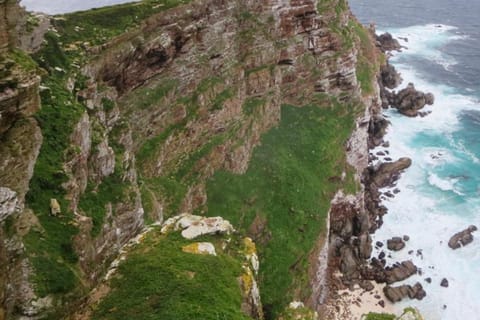 Cape Town: 3-Day Cape Agulhas, Safari, & Winelands Tour