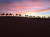 Excursão do Sahara em 2 dias de Marrakech - Housity