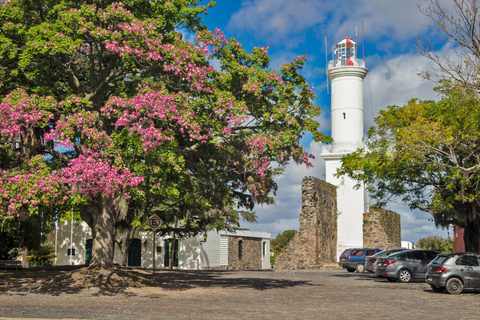 Colonia del Sacramento Private Day Tour from Buenos Aires 7-hour: Colonia del Sacramento Tour