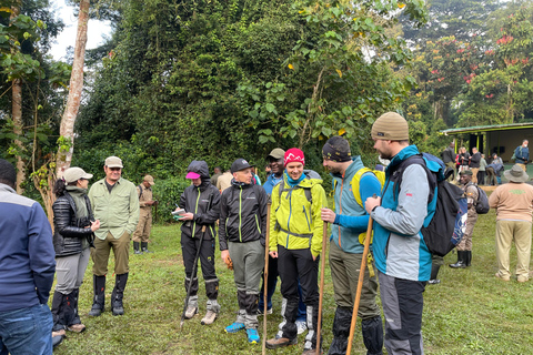 3 Day 2 Night Uganda Gorilla Tour - Bwindi and Lake Bunyonyi