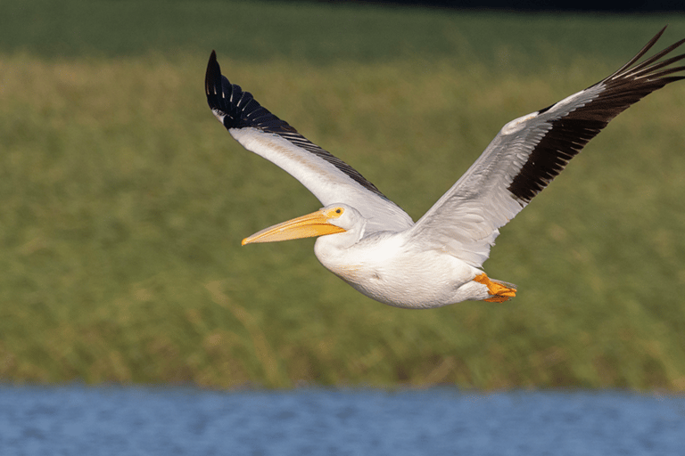 8 Days From Addis Ababa: Omo Valley Cultural & Tribal Tour