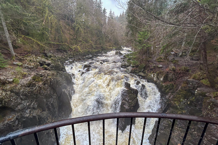 Scone Palace, Nature Walk and Whisky Experience Private Tour