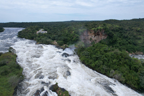 Uganda: 7-Day Wildlife & Primate Safari Adventure