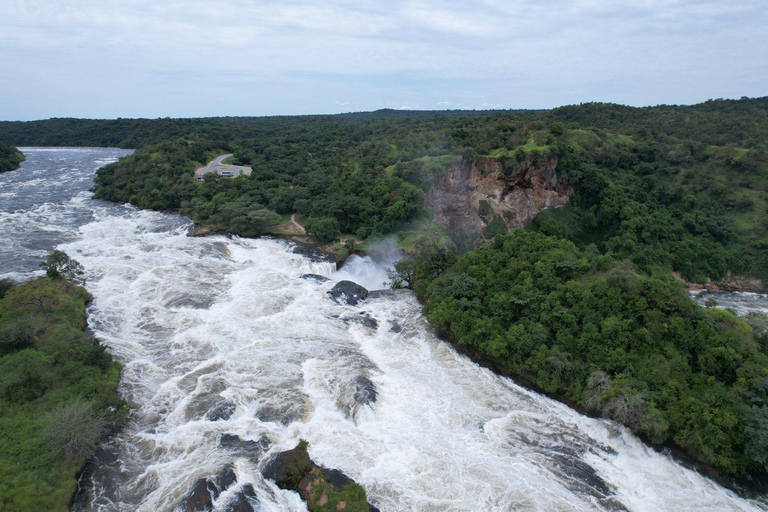 Uganda: 7-Day Wildlife & Primate Safari Adventure
