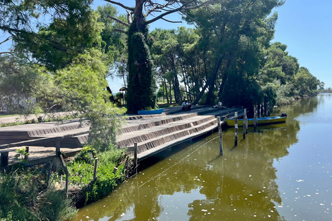 تيرانا: رحلة ليوم واحد إلى أبولونيا وبحيرة كارافاستا مع الغداء