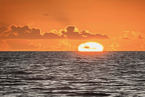 Crucero en Catamarán al Atardecer que incluye. Cena y entretenimiento