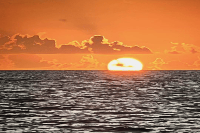 Crucero en Catamarán al Atardecer que incluye. Cena y entretenimiento