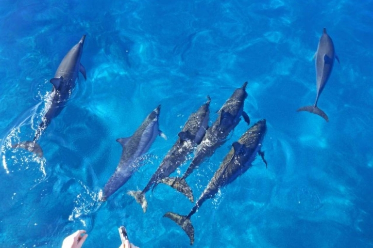 Hurghada: Snorkelen, duiken, parasailen & Orange Island met lunch