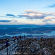 Mt Wellington & Hobart: Shore Excursion (Private Tour)