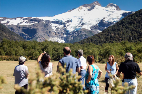 Bariloche: Cerro Tronador and Ventisquero Negro Tour English or Portuguese Departure
