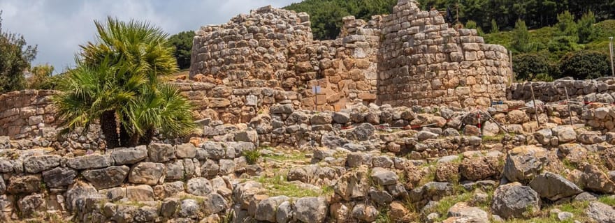 Alghero : Visite de la palmeraie de Nuraghe et du parc de Porto Conte