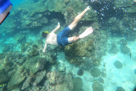 From Khao Lak: Phi Phi, Maya bay & Khai island Day Trip