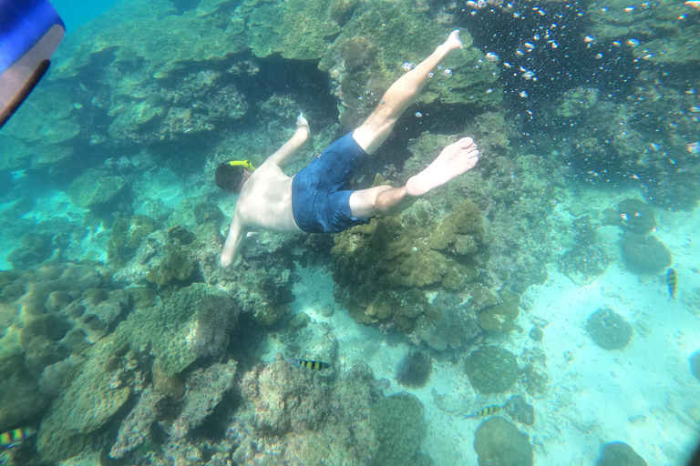 From Khao Lak: Phi Phi, Maya bay & Khai island Day Trip