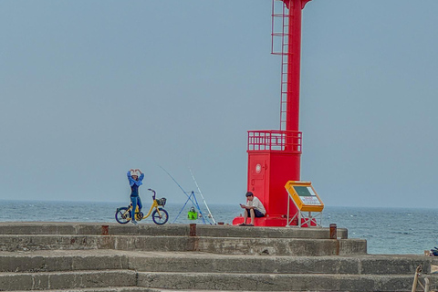 Jeju Island: 1 Day Private Tour