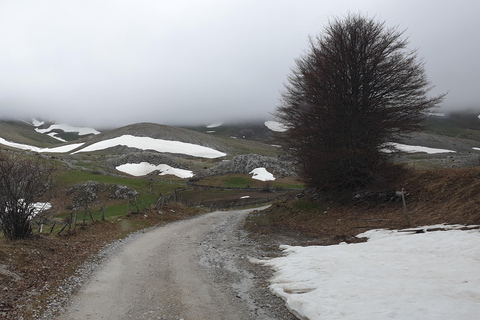 From Sarajevo: Offroad 4x4 Safari tour to Lukomir village