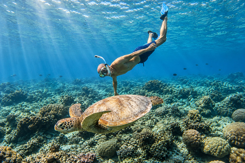 From Gili Air: Snorkelling Trip with Turtles, Statue & GoPro From Gili Air: Shared Snorkeling with Turtles, Statue &GoPro