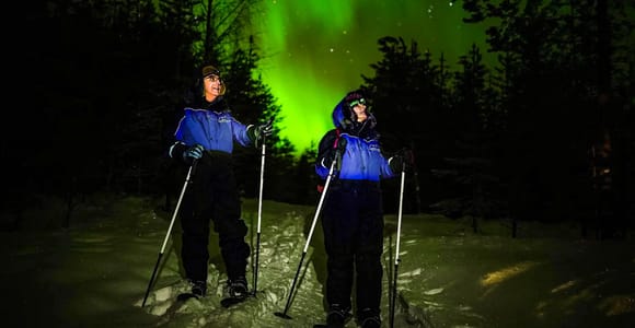 Ski Trekking under the Northern Lights in Rovaniemi
