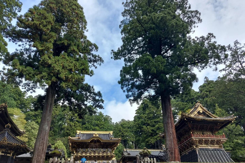 Private Day trip to Nikko with English speaking Guides