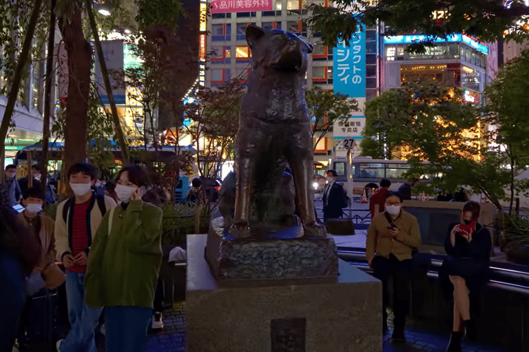 Tokyo: Shibuya Sky Night Views and Nightlife Adventures