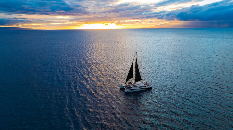 Maui: 2-Hour Sunset Dinner Sail with Open Bar and Appetizers