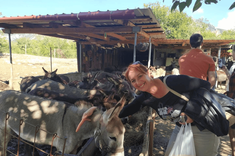From Budva: Tour of Donkey Farm