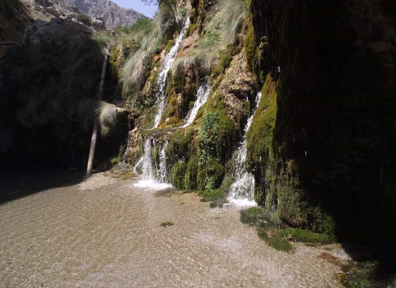 Fra Plakias: Guidet flodtrekking i Kourtaliotiko-slugten