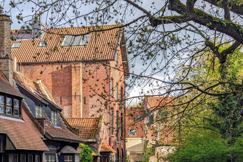 París: Tour de 1 día por Bruselas y Brujas en tren.