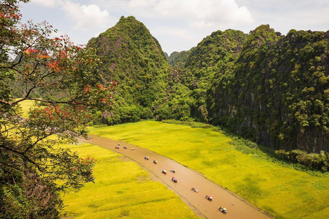 From Hanoi: Ninh Binh- Hoa Lu-Tam Coc- Mua Cave- Highlight