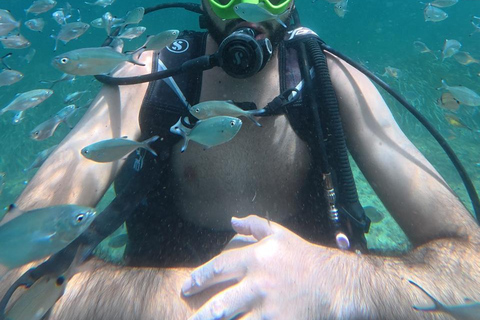 Mahdia: Guided Medina Tour and Scuba Diving Experience